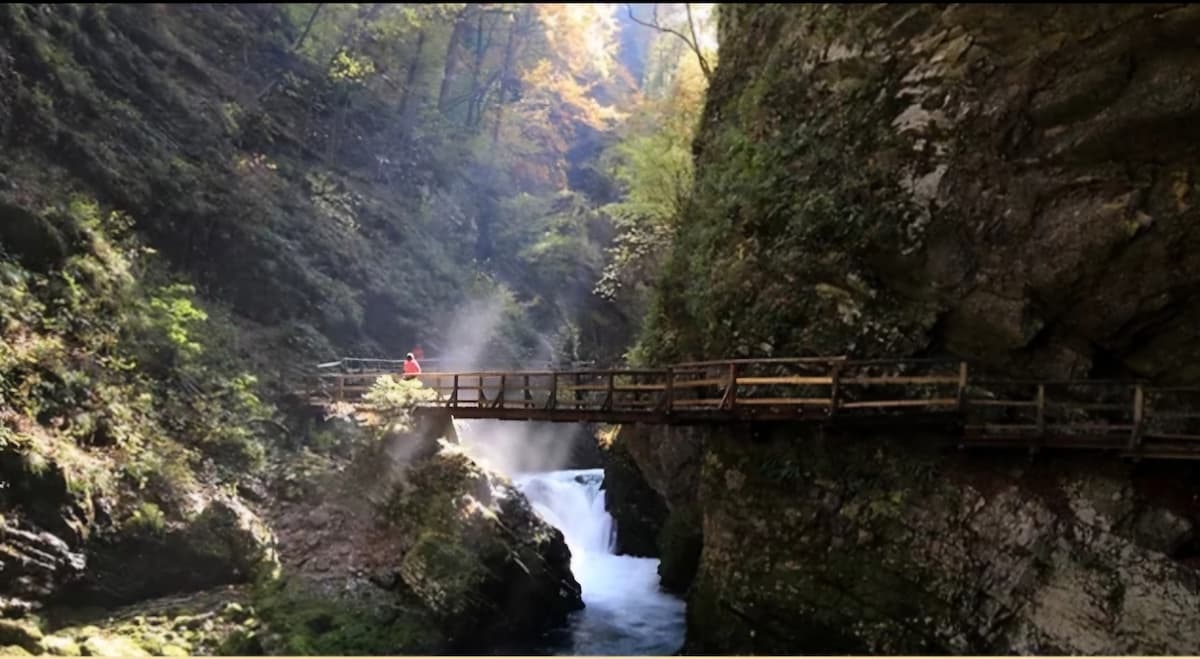 Unlock Your Potential
with Career Edge